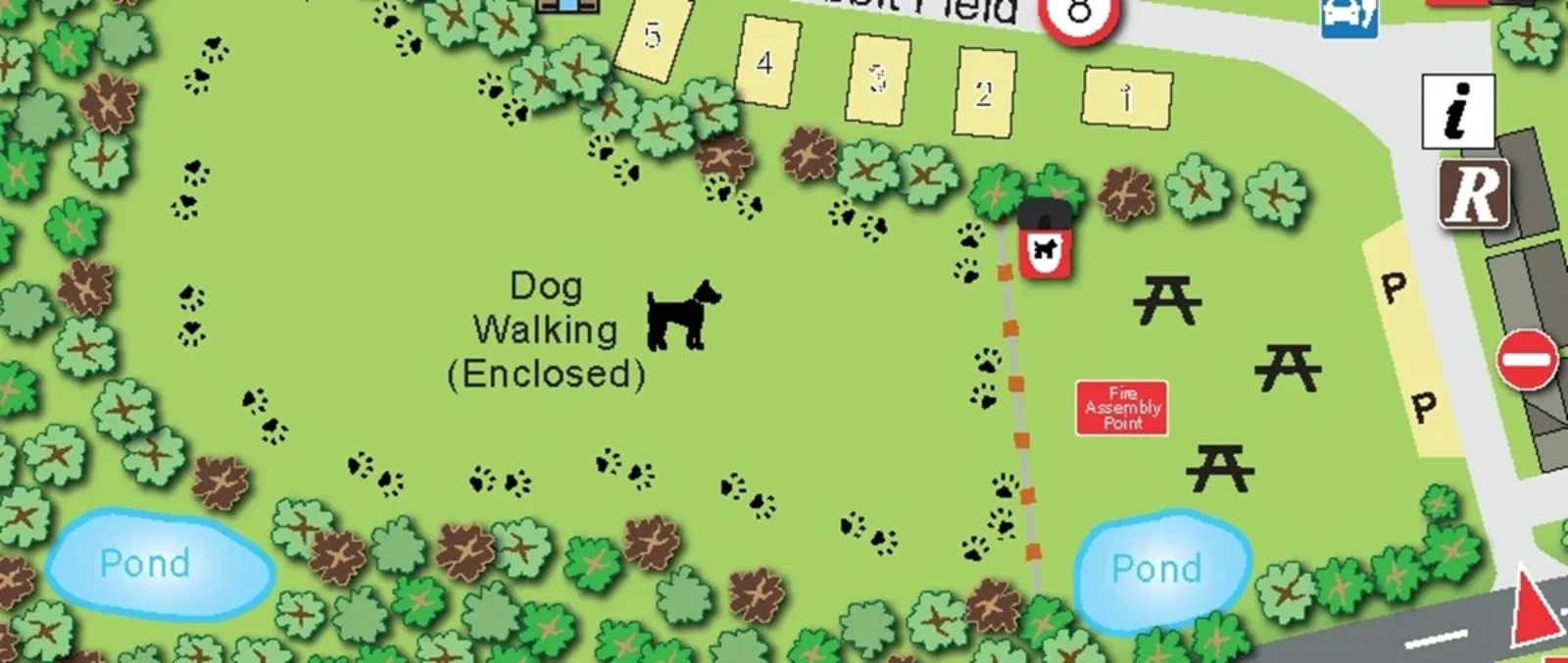 Dog Walking Area