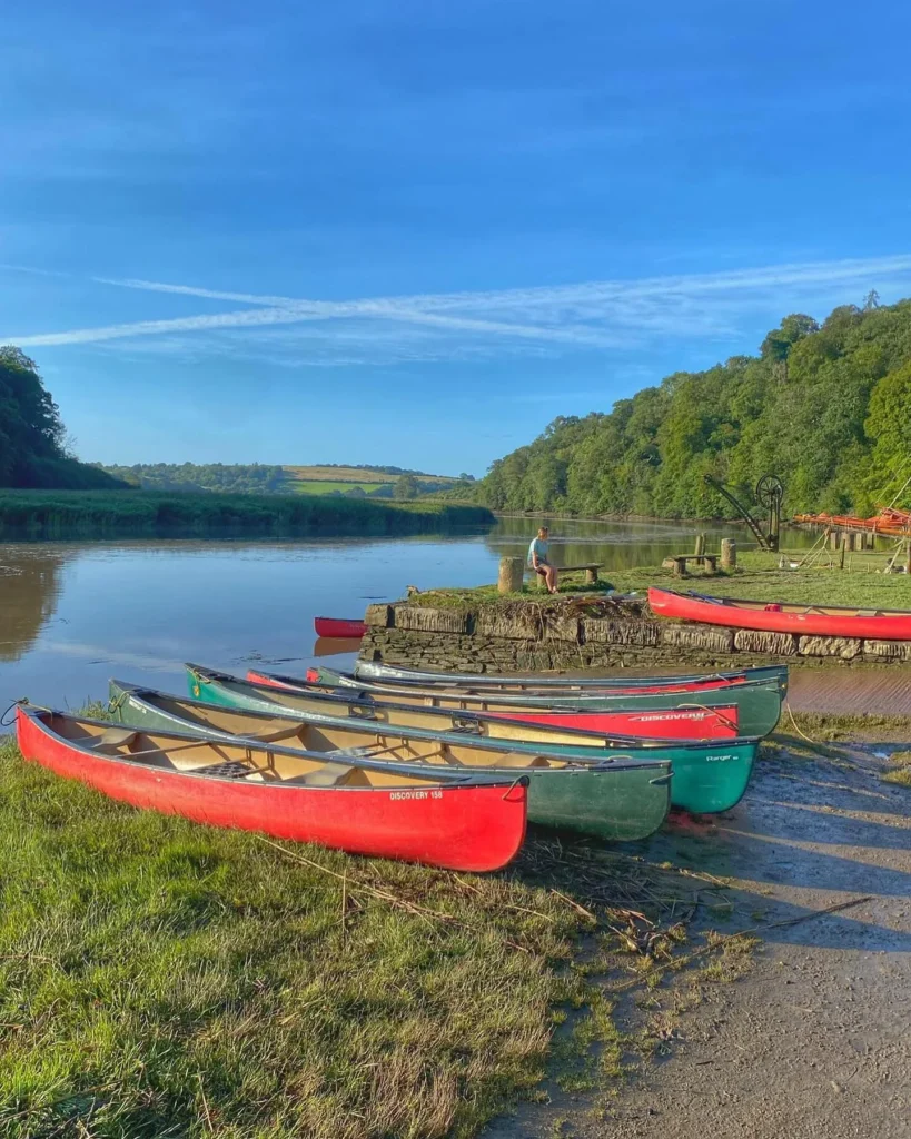 Brand New arrival at Notter Bridge Holiday Park