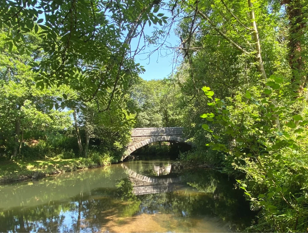 Studio Lodge Woodland View
