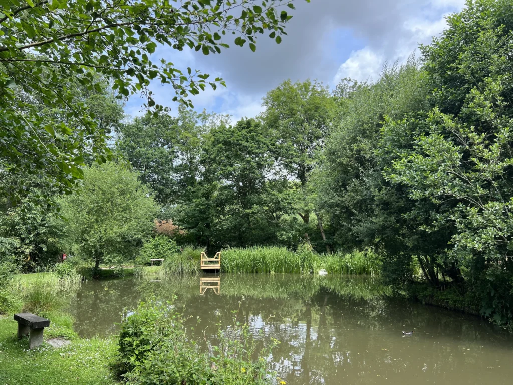 Studio Lodge Woodland View
