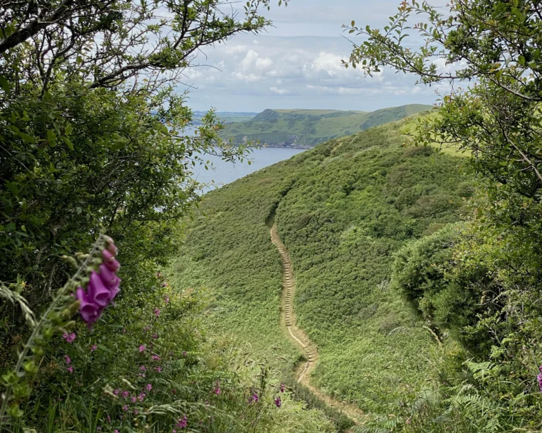Cornwall Coastline South East bloom in Spring