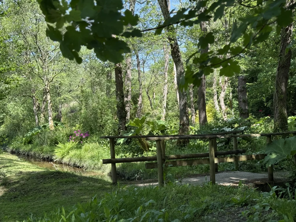 Notter Bridge Accommodation