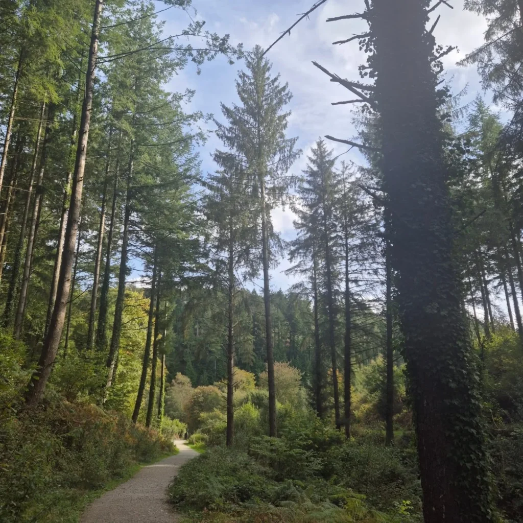 Best Last-Minute Breaks in Devon & Cornwall…