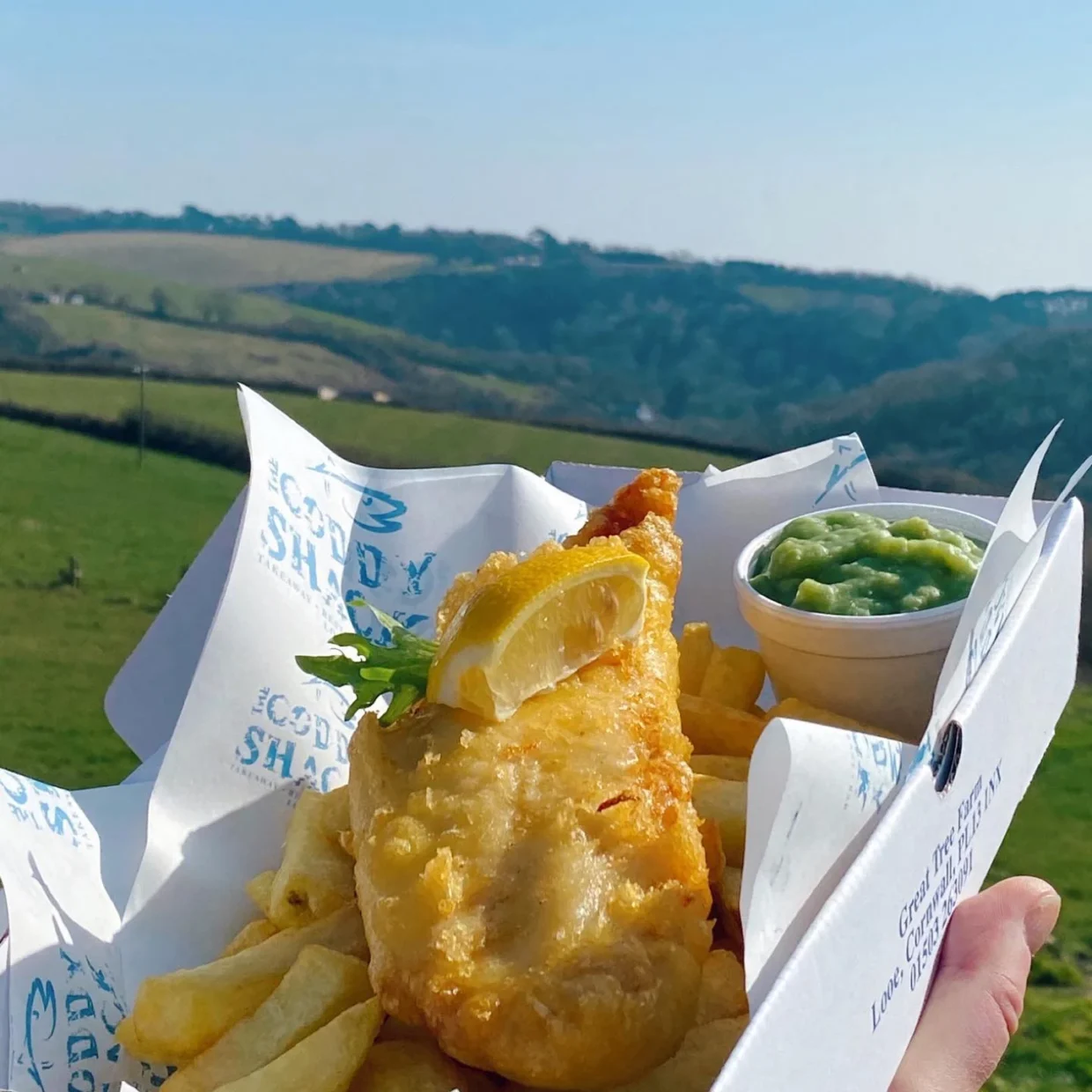 The Coddy Shack (Looe)