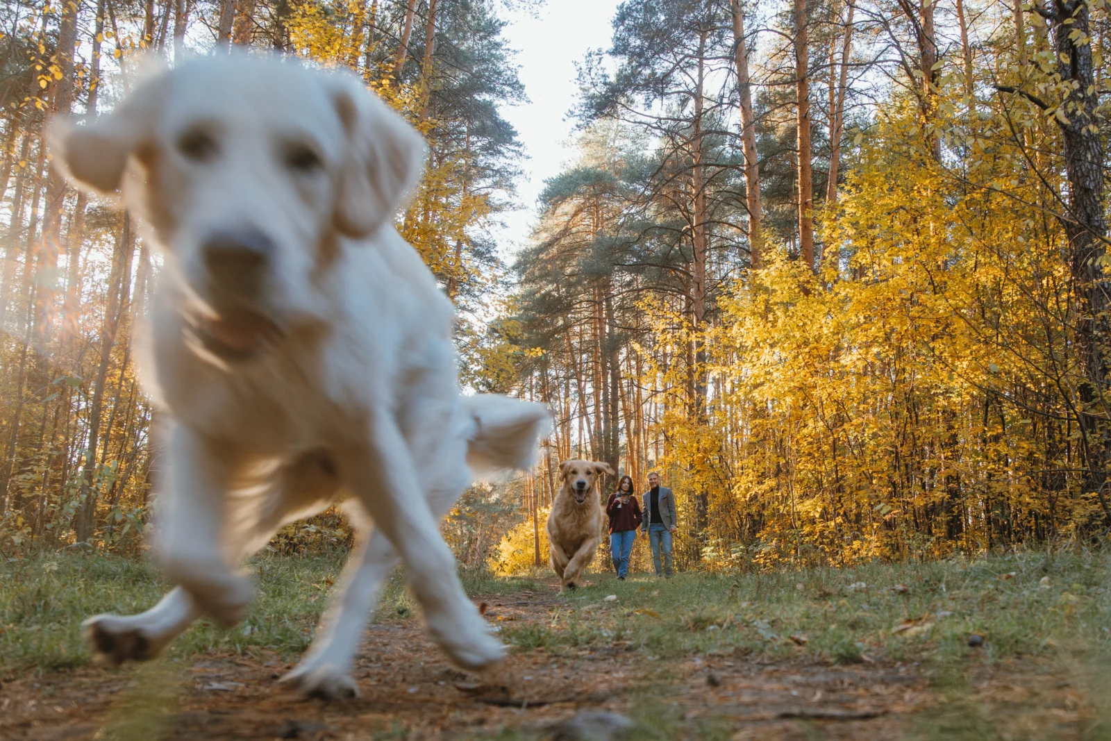 Your Autumn Getaway Just Got 10% Cheaper…