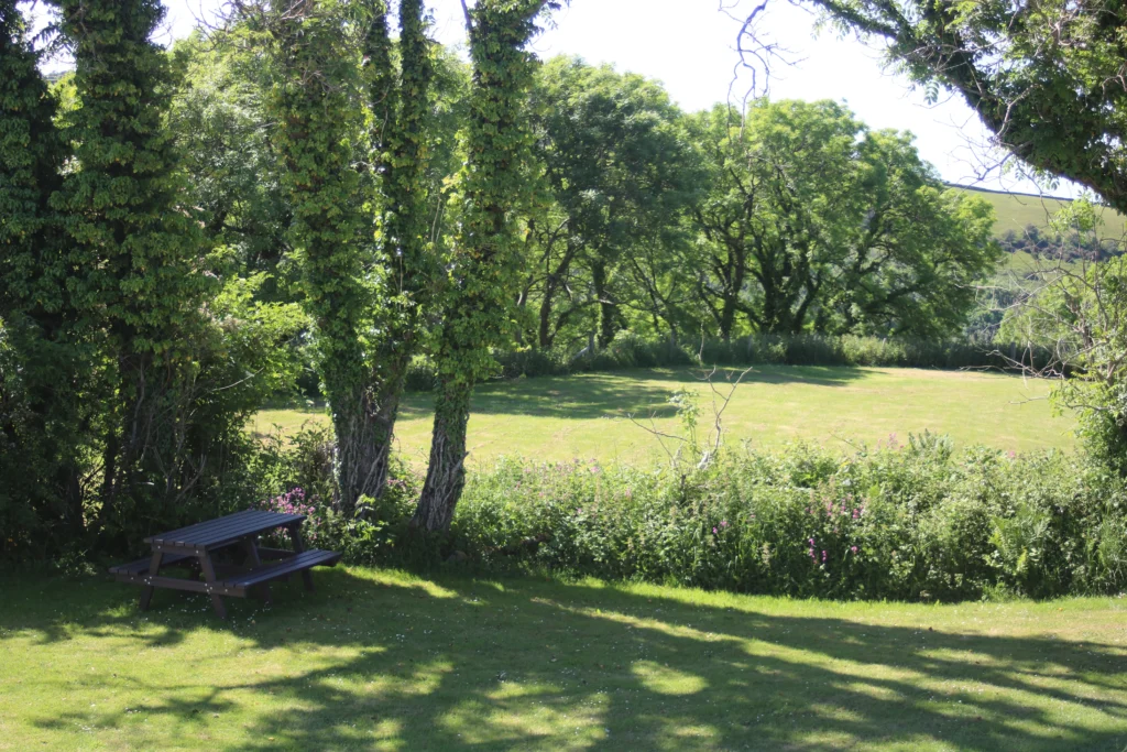 Valley View – Non-Electric Camping & Campervans