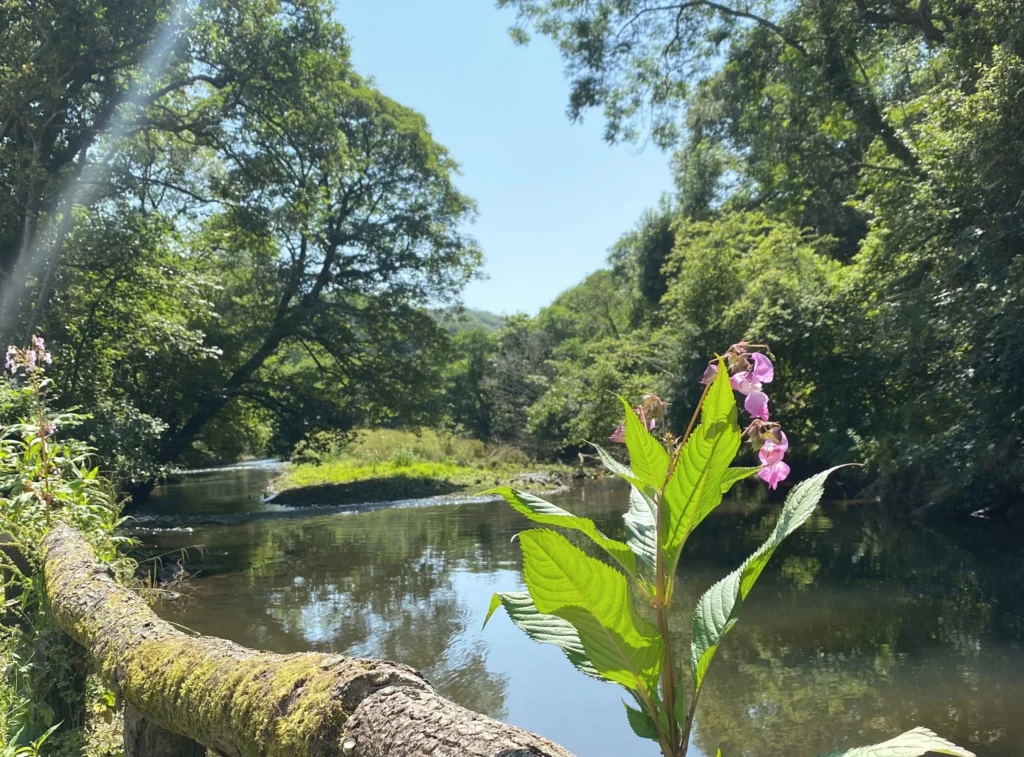 Best Last-Minute Breaks in Devon & Cornwall…