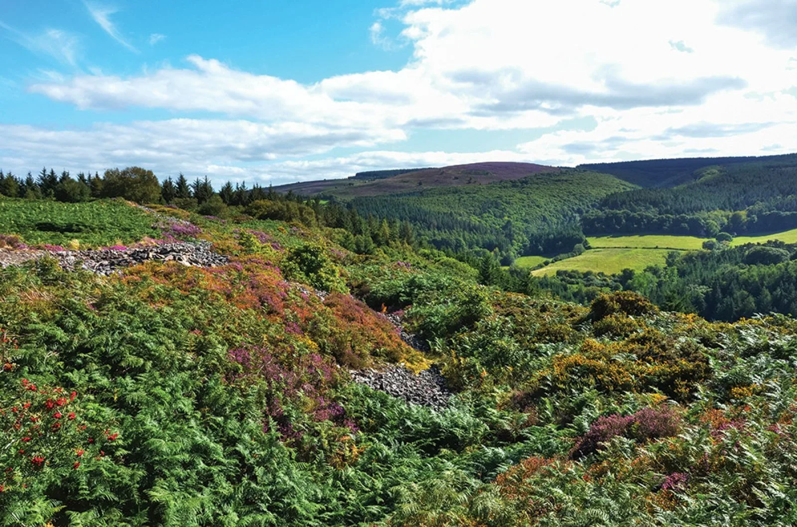 Dunster Outback Walks