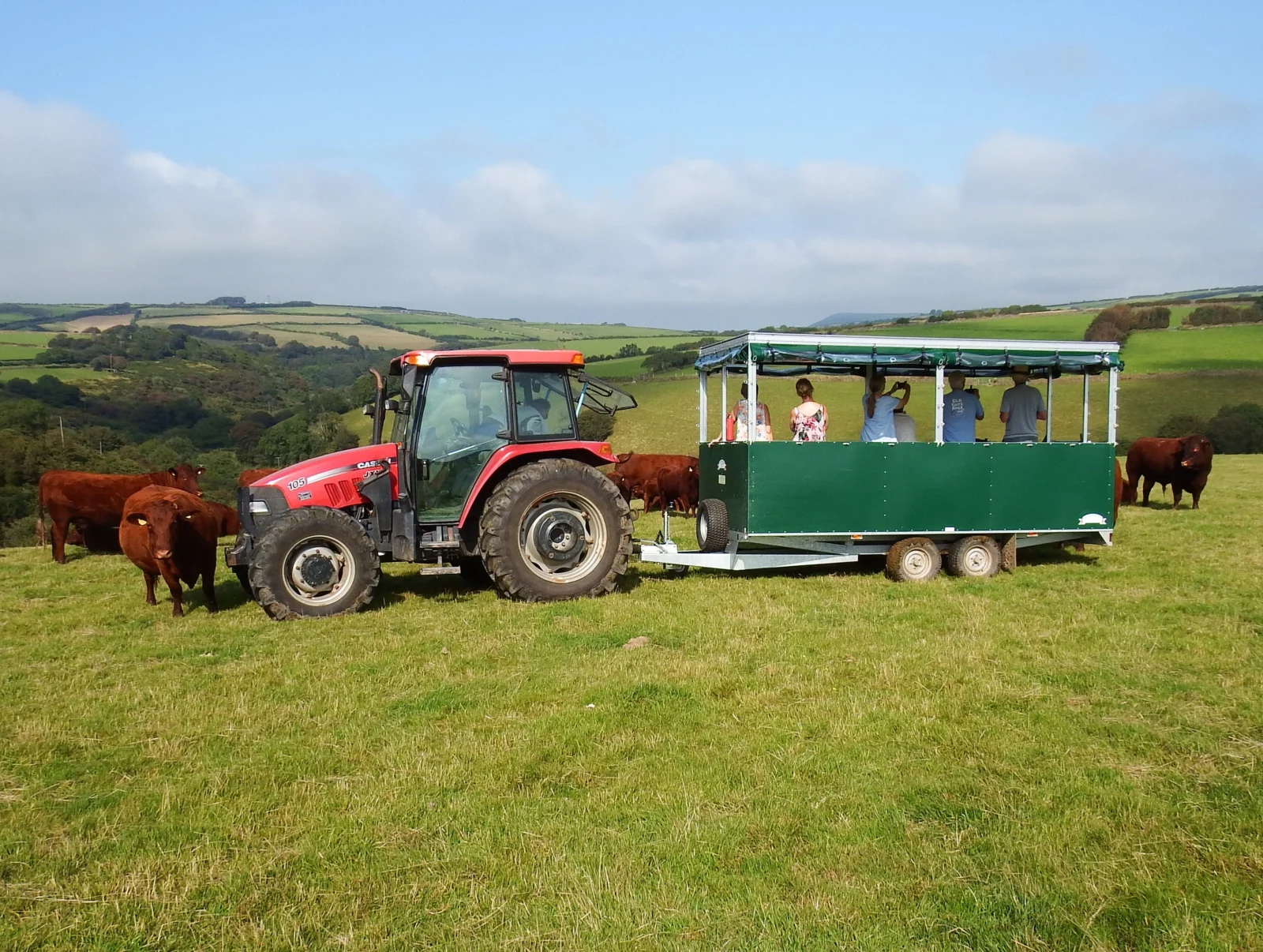 Farm Tour- West Ilkerton Farm