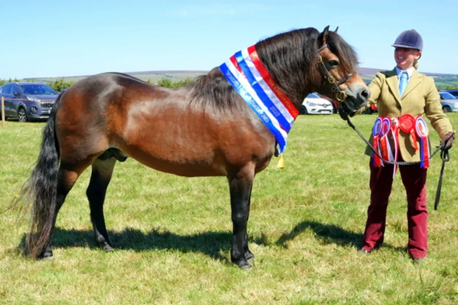 Porlock Horse Show
