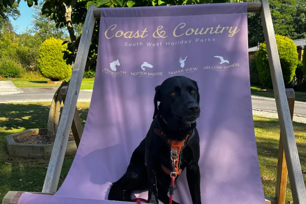 Why Coast & Country Parks Went 100% Dog Friendly…