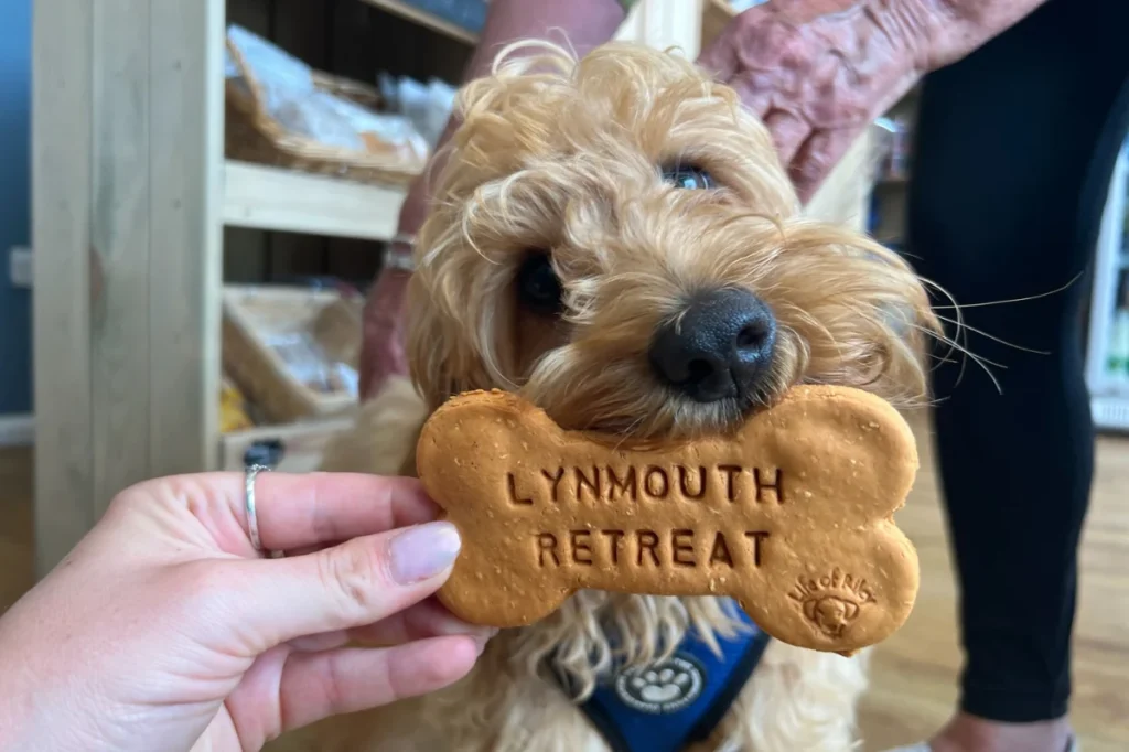 Why Coast & Country Parks Went 100% Dog Friendly…