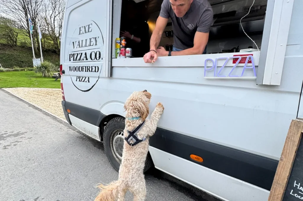 Why Coast & Country Parks Went 100% Dog Friendly…