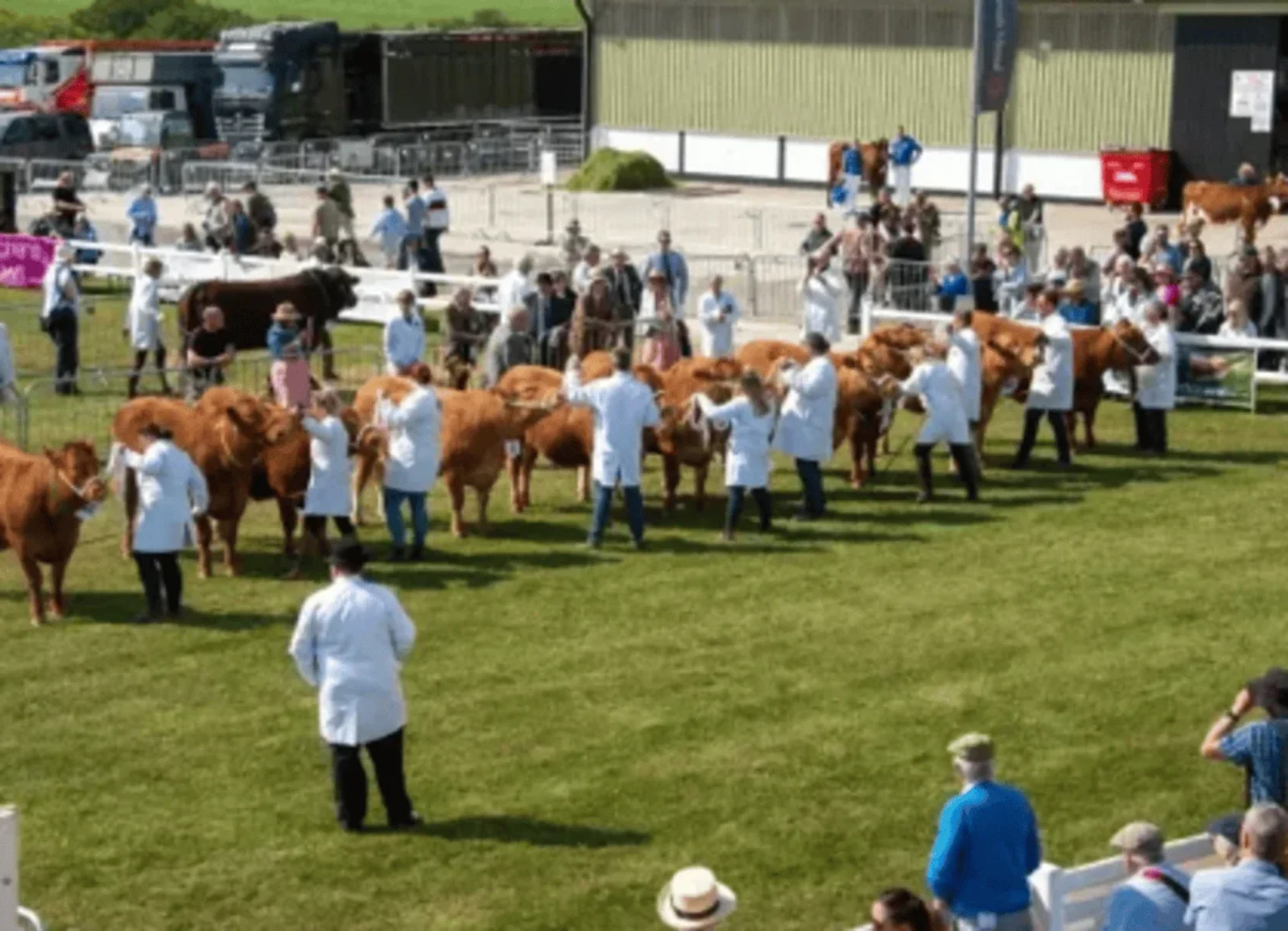 Royal Cornwall Show 2026