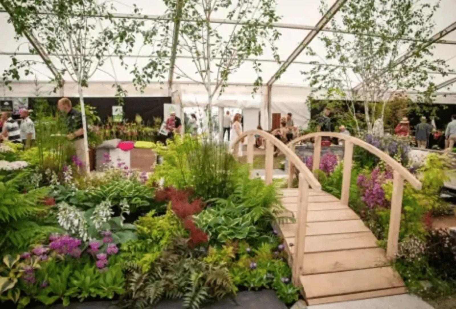 Royal Cornwall Show 2026