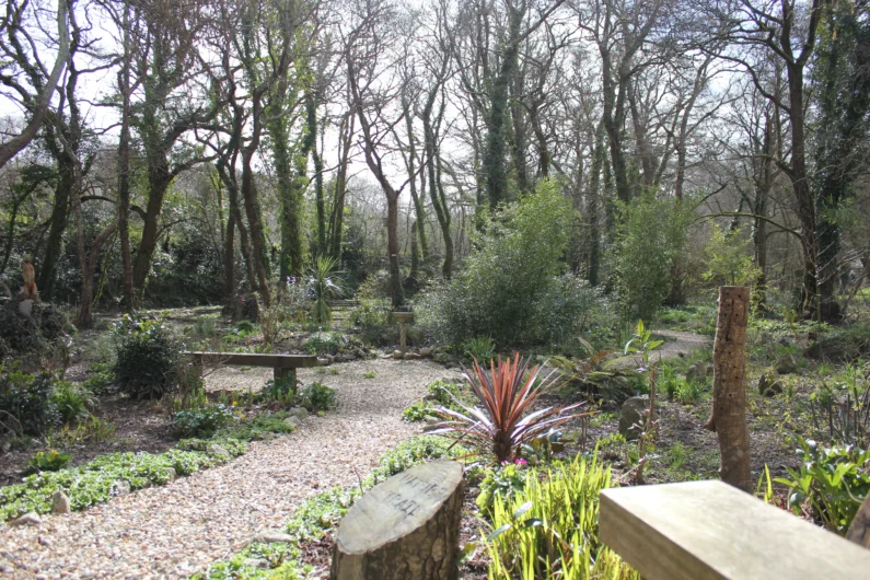 Garden Woodland Walk in Spring Image
