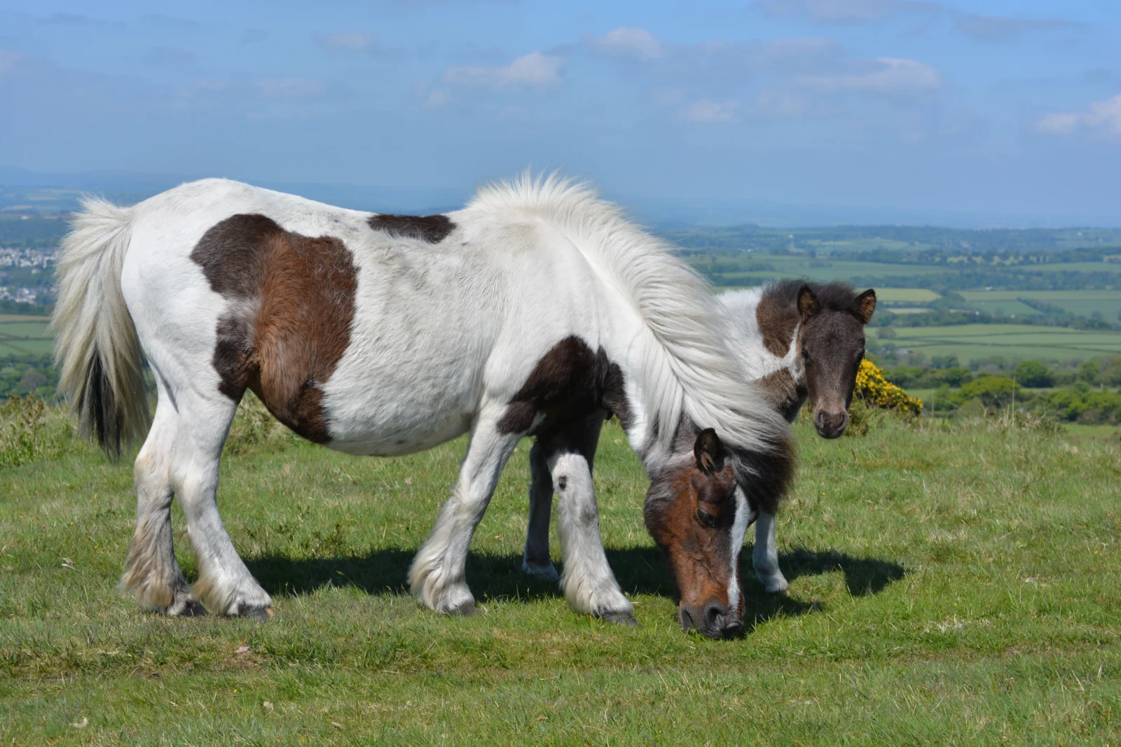 10 Reasons To Visit The Tamar Valley This Autumn